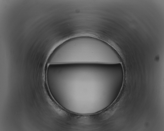 X0000091731028200708241039