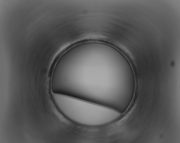 X0000091731029200708241039
