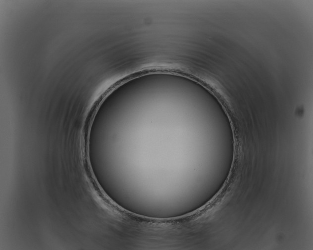 X0000091731030200708241039