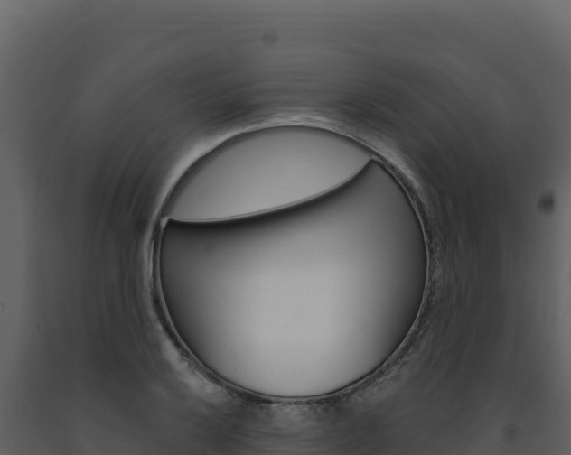 X0000091731032200708241039