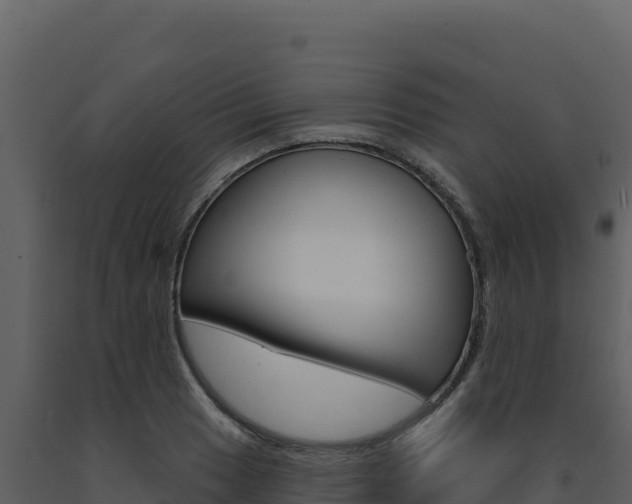 X0000091731033200708241039