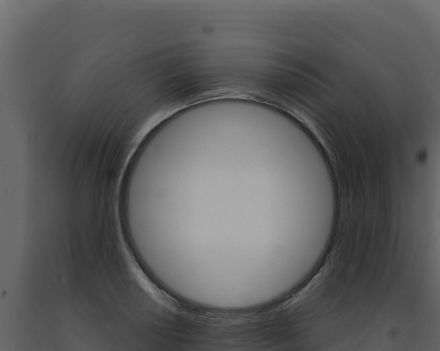 X0000091731034200708241039