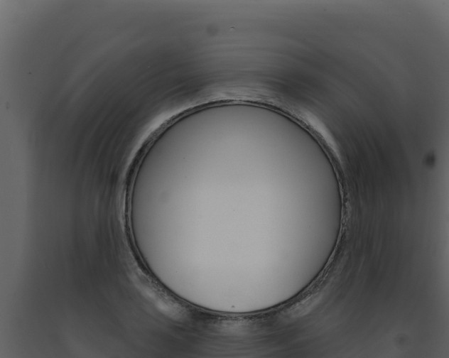 X0000091731035200708241039
