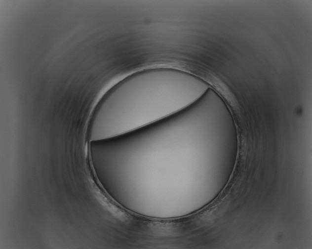 X0000091731036200708241039