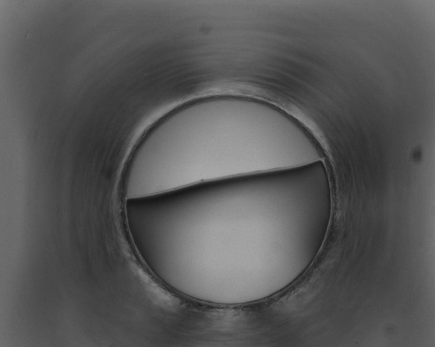 X0000091731037200708241039