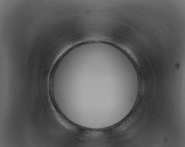 X0000091731039200708241039