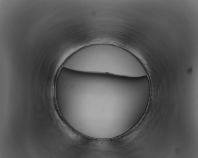 X0000091731040200708241039