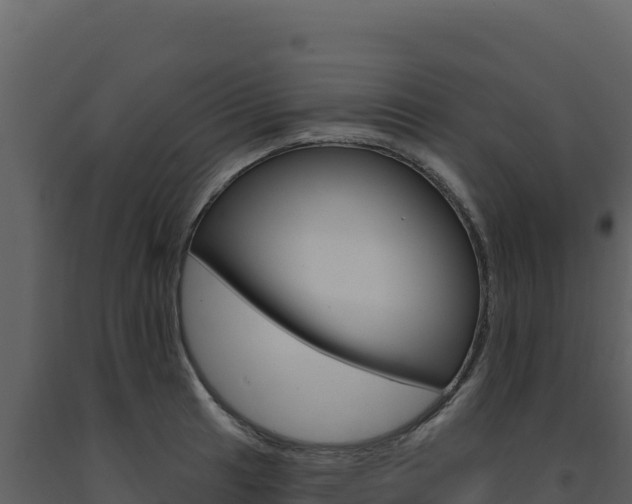 X0000091731041200708241039