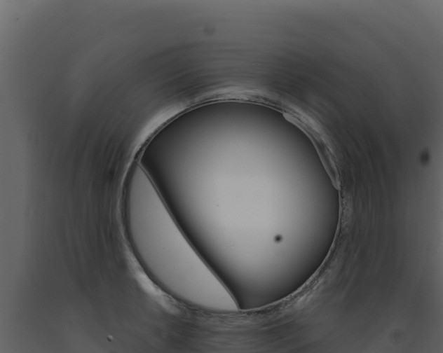 X0000091731042200708241039