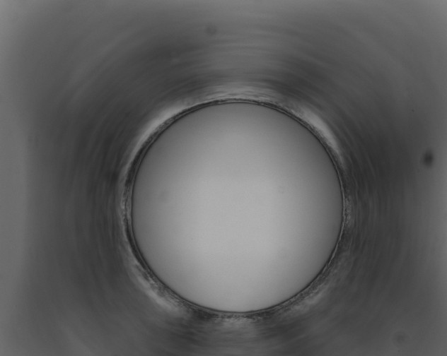 X0000091731043200708241039
