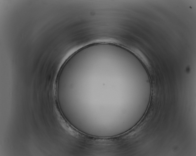 X0000091731044200708241039