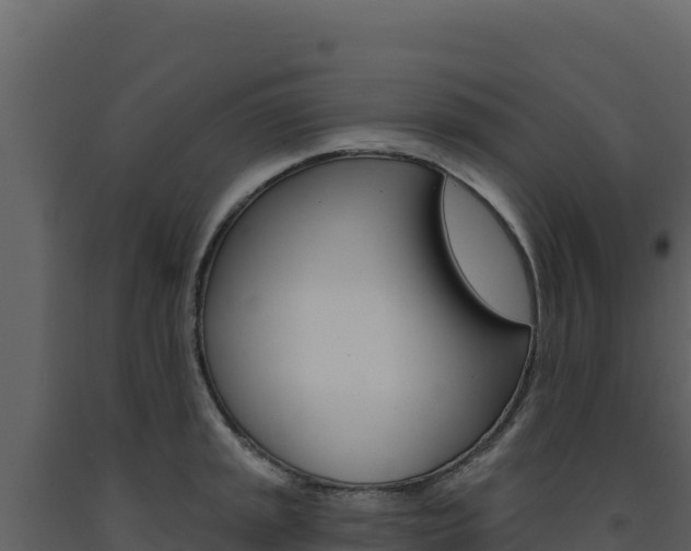 X0000091731045200708241039
