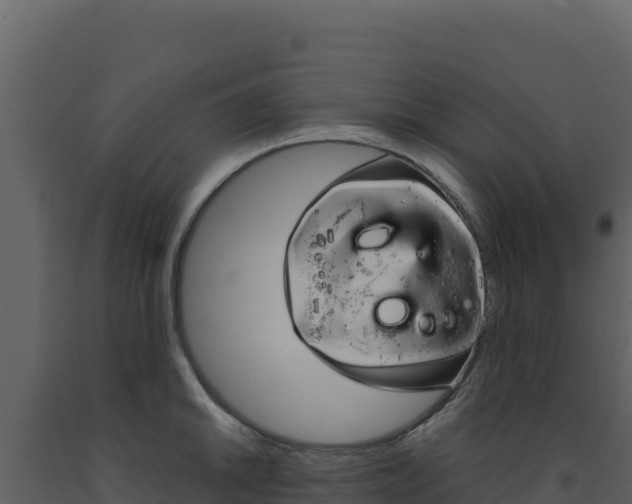 X0000091731046200708241039