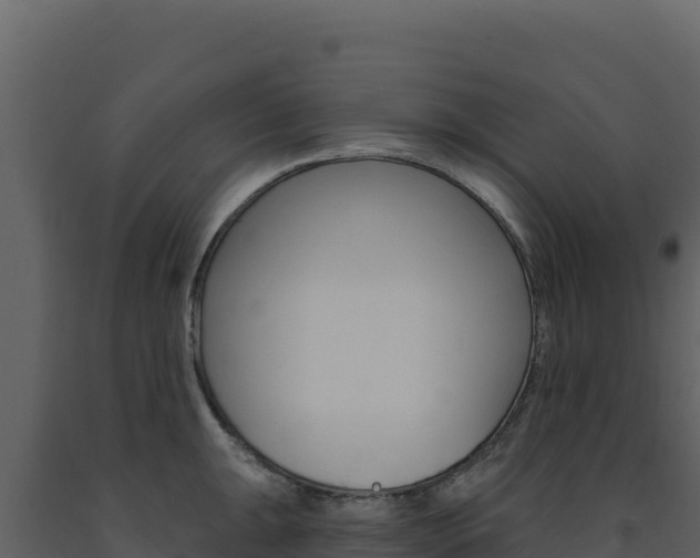 X0000091731047200708241039
