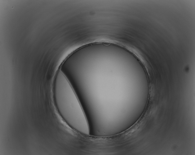 X0000091731048200708241039