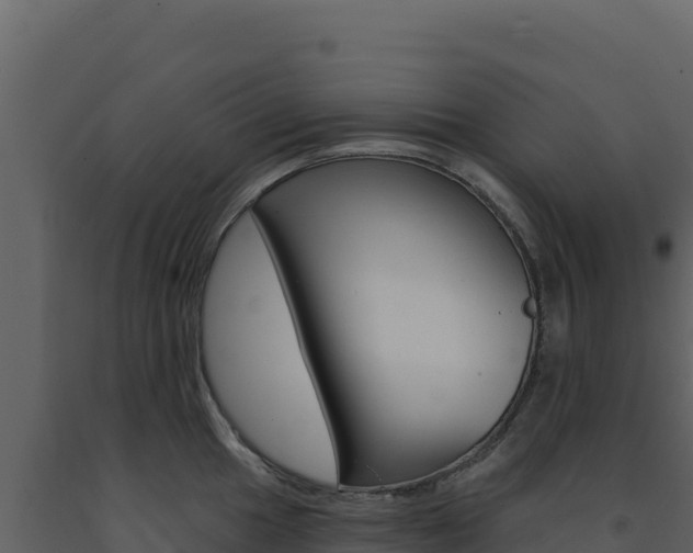 X0000091731049200708241039