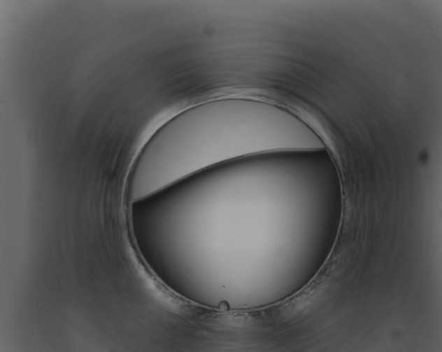 X0000091731050200708241039