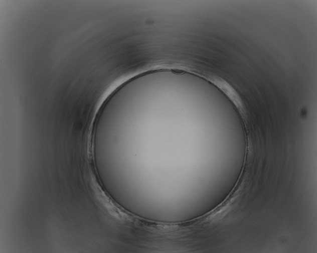 X0000091731052200708241039