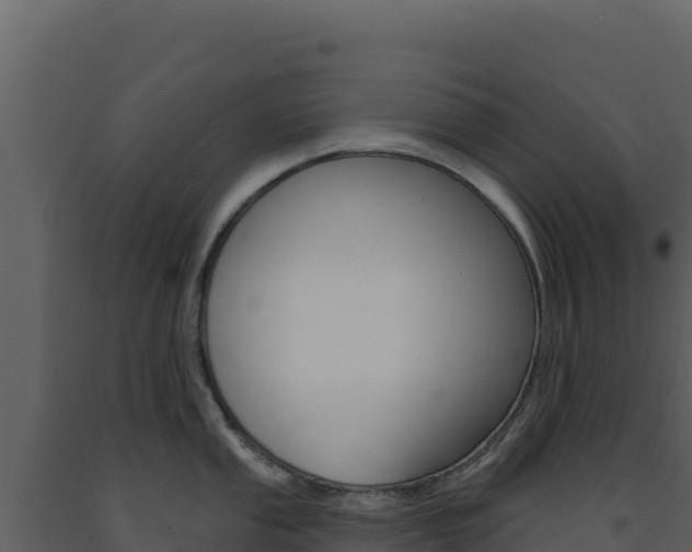 X0000091731053200708241039