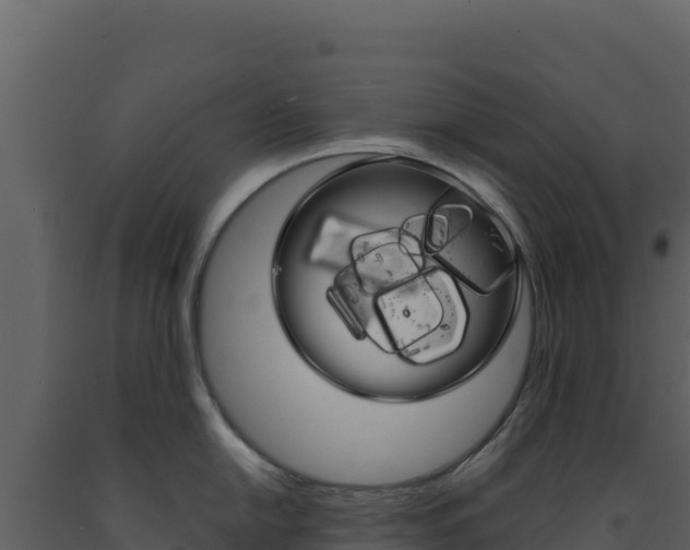 X0000091731054200708241039