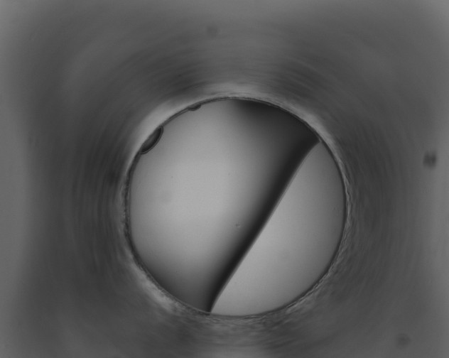 X0000091731056200708241039
