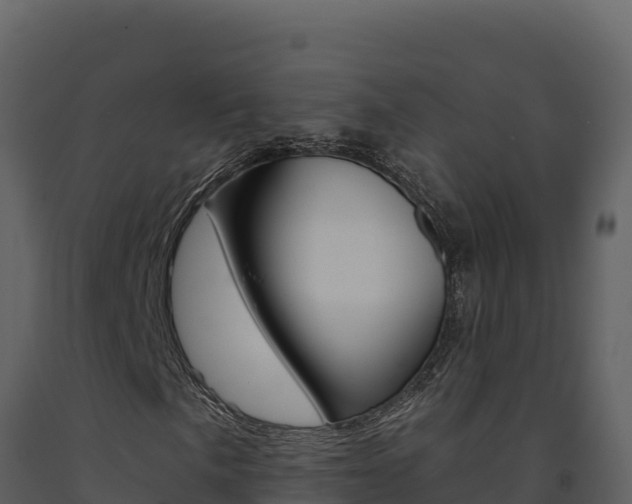 X0000091731057200708241039