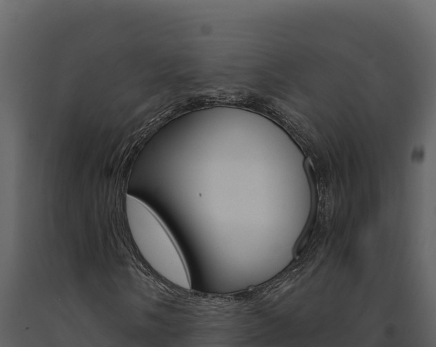 X0000091731058200708241039