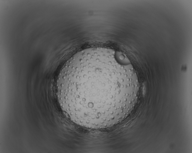 X0000091731059200708241039