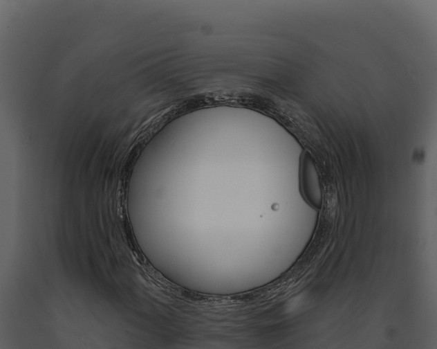 X0000091731060200708241039