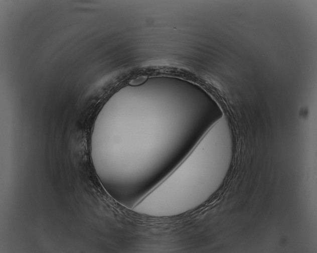 X0000091731062200708241039