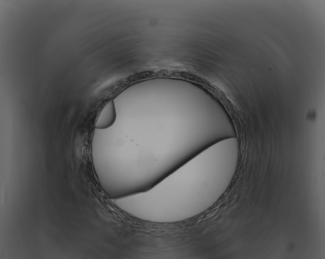X0000091731063200708241039