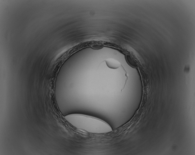 X0000091731064200708241039