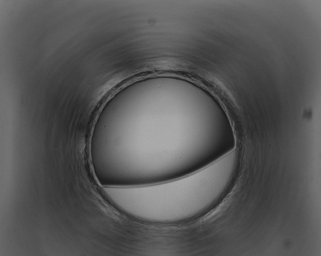 X0000091731065200708241039