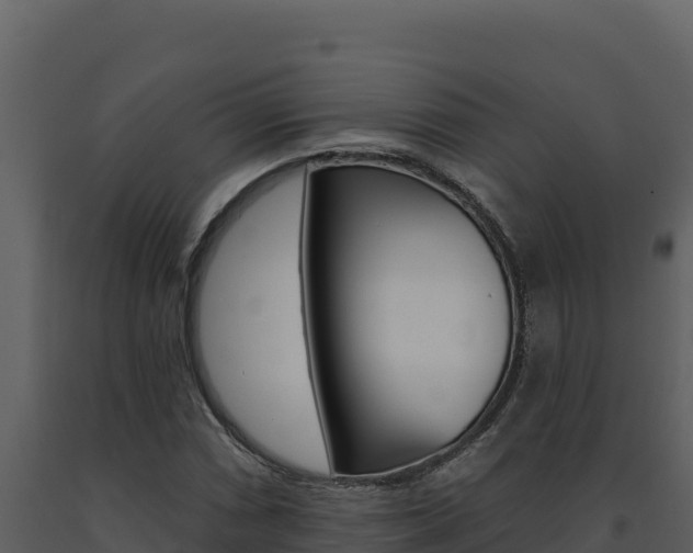 X0000091731066200708241038