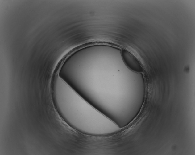 X0000091731068200708241038
