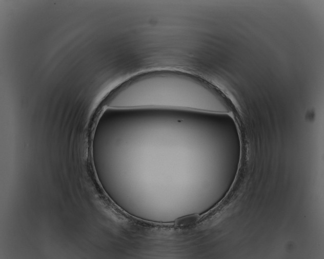 X0000091731069200708241038