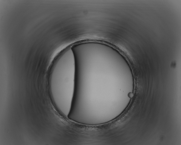 X0000091731070200708241038