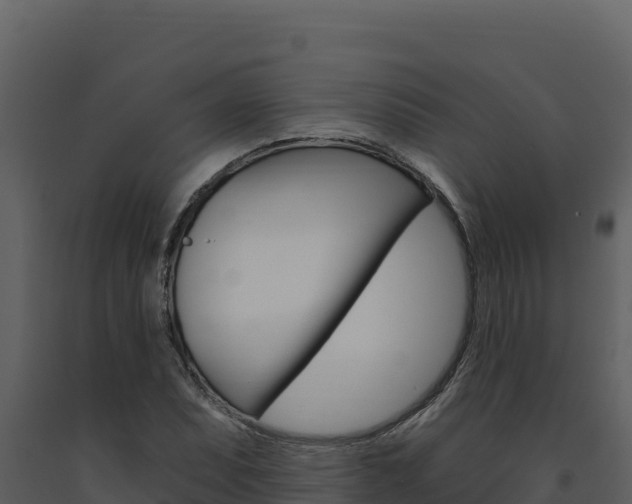 X0000091731071200708241038
