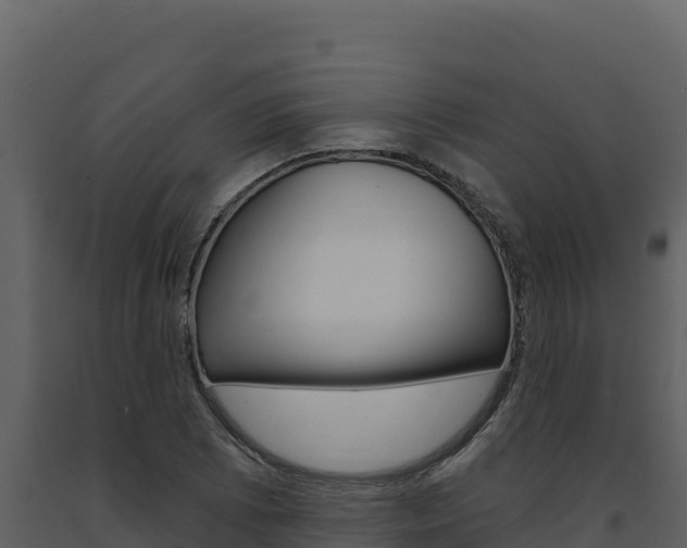 X0000091731073200708241038