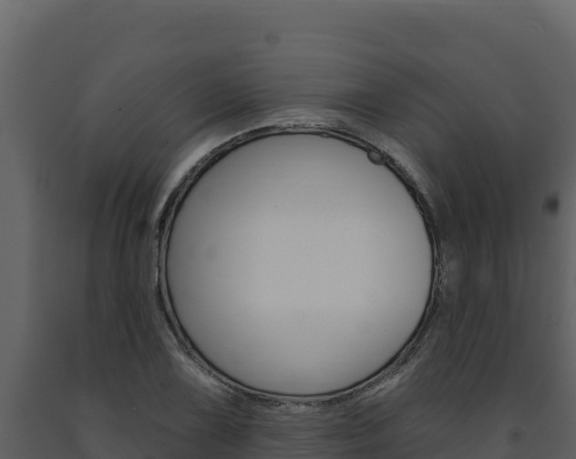 X0000091731075200708241038
