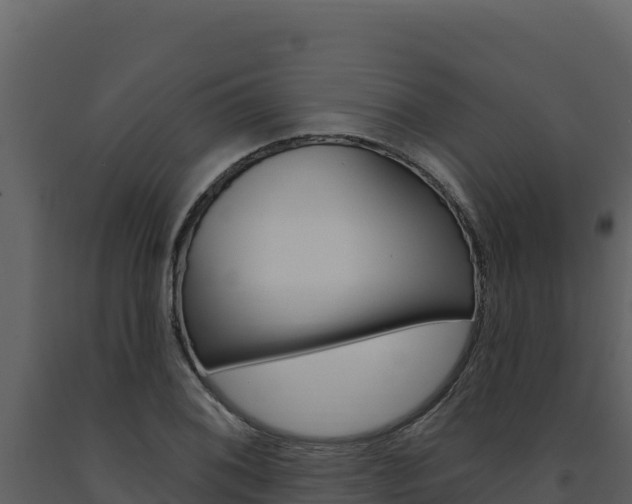 X0000091731076200708241038