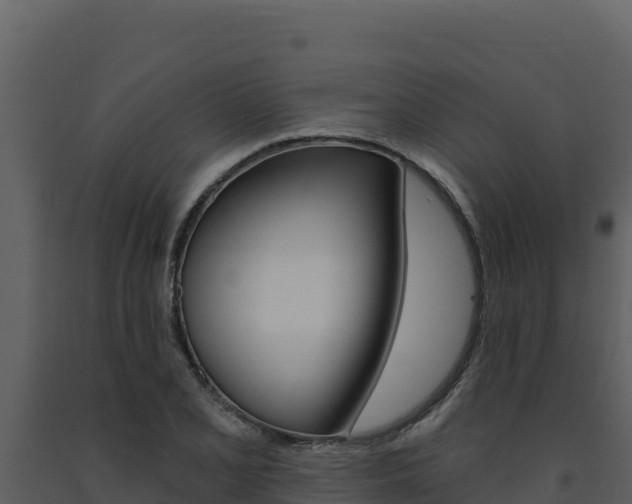 X0000091731077200708241038