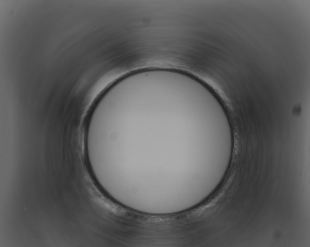 X0000091731078200708241038