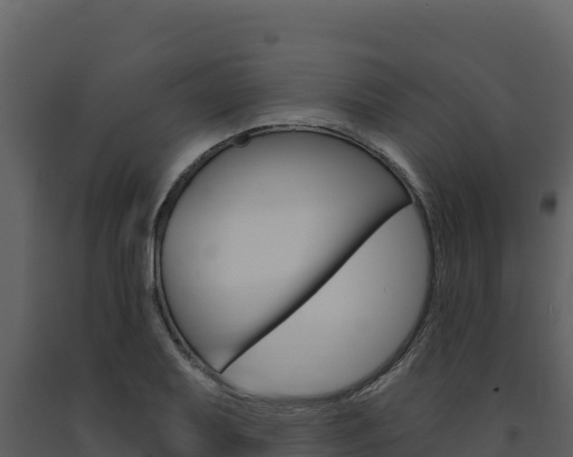 X0000091731079200708241038