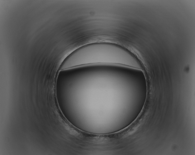 X0000091731081200708241038