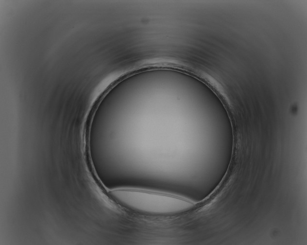 X0000091731082200708241038