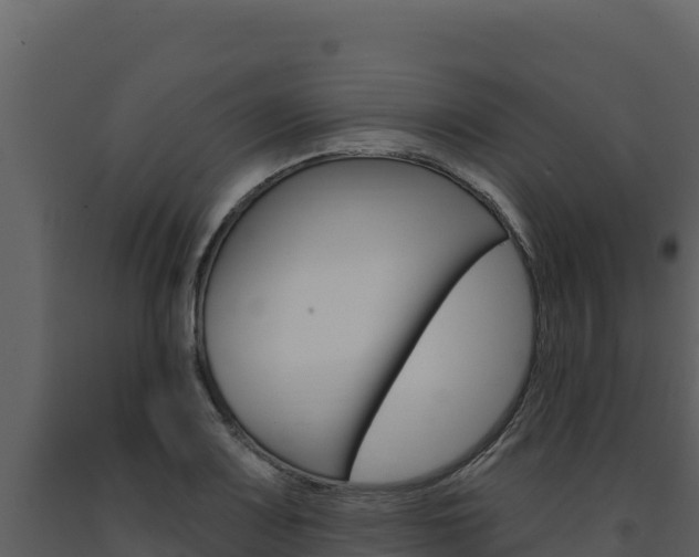 X0000091731083200708241038