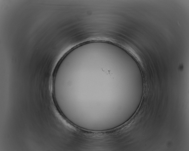 X0000091731084200708241038