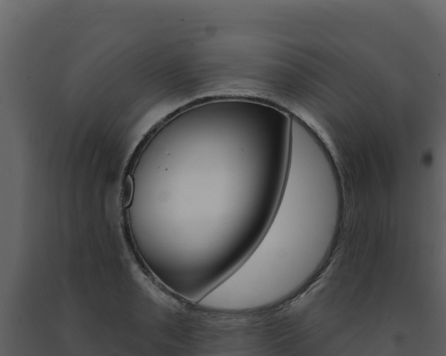 X0000091731085200708241038