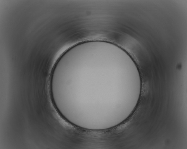 X0000091731086200708241038